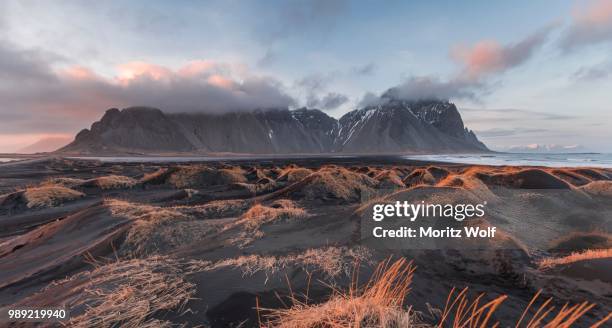 evening atmosphere at the lava beach, black sandy beach with dunes, overgrown with dry grass, mountains klifatindur, eystrahorn and kambhorn, headland stokksnes, mountain range klifatindur, austurland, east iceland, iceland - austurland stock pictures, royalty-free photos & images