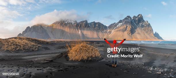 man in red jacket stretches arms into the air, black lava beach, sandy beach, dunes with dry grass, mountains klifatindur, eystrahorn and kambhorn, headland stokksnes, mountain range klifatindur, austurland, east iceland, iceland - austurland stock pictures, royalty-free photos & images