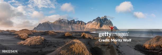 man in red jacket stretches arms into the air, black lava beach, sandy beach, dunes with dry grass, mountains klifatindur, eystrahorn and kambhorn, headland stokksnes, mountain range klifatindur, austurland, east iceland, iceland - austurland stock pictures, royalty-free photos & images