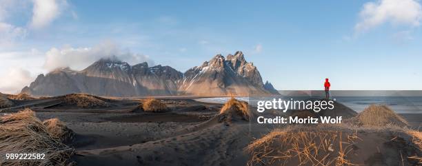 man in red jacket standing on dunes with dry grass, black lava beach, sandy beach, mountains klifatindur, eystrahorn and kambhorn, headland stokksnes, mountain range klifatindur, austurland, east iceland, iceland - austurland stock pictures, royalty-free photos & images