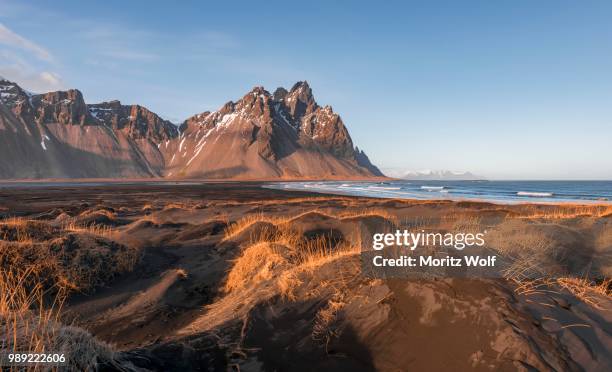 evening atmosphere, black sand beach, dunes with dry grass, mountains klifatindur, eystrahorn and kambhorn, headland stokksnes, massif klifatindur, austurland, east iceland, iceland - austurland stock pictures, royalty-free photos & images