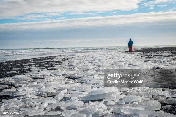 man walking through ice floes on black beach, diamond beach, fjallsarlon glacier lagoon, east iceland, iceland - austurland stock pictures, royalty-free photos & images