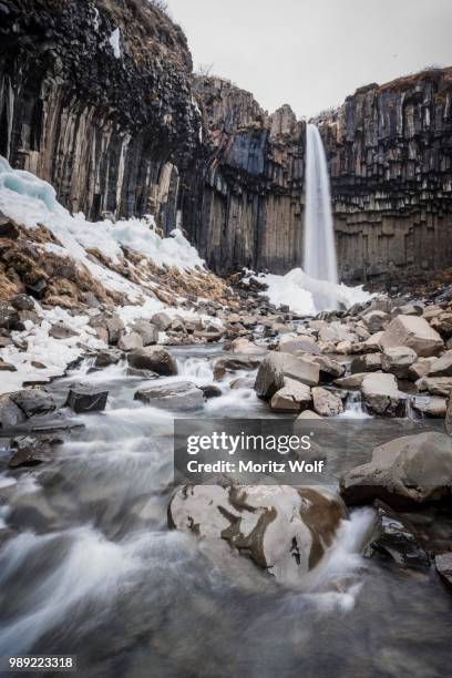 svartifoss waterfall, black falls, river storilaekur, basalt columns, skaftafell national park, southern region, iceland - parc national de skaftafell photos et images de collection