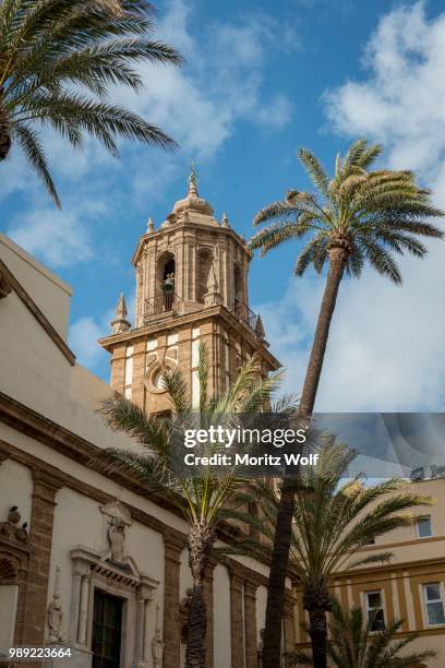 palms in front of church iglesia de santiago apostol, cadiz, andalusia, spain - iglesia stock pictures, royalty-free photos & images