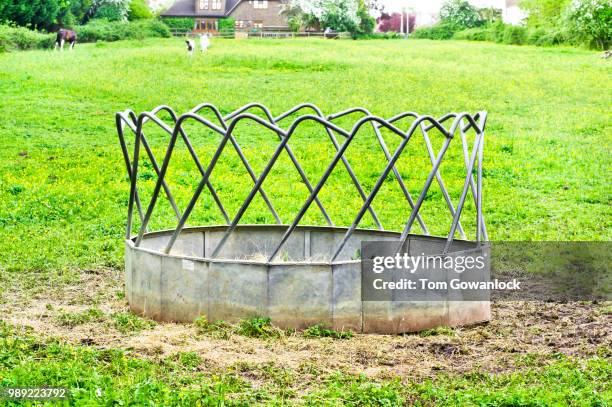 horse feeding trough - horse trough 個照片及圖片檔