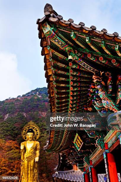 large buddha - beopjusa stock pictures, royalty-free photos & images