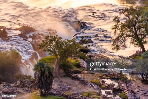 epupa falls at sunrise, kunene region, namibia - kaokoveld stock pictures, royalty-free photos & images