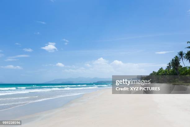 long sandy beach with palm trees, san vicente, palawan island, philippines - indo pacific ocean imagens e fotografias de stock