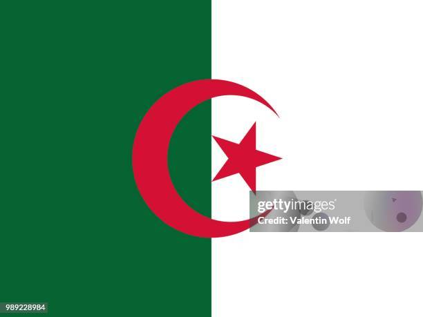 illustrazioni stock, clip art, cartoni animati e icone di tendenza di official national flag of algeria - motif africain
