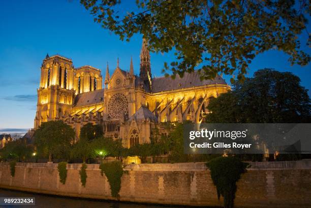Notre-Dame at night, Paris, France