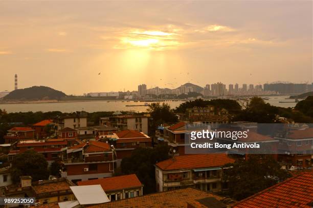 gulangyu by bong ants - ants in house stock pictures, royalty-free photos & images