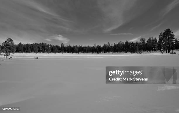 a snowed over field on the drive to paria view (black & white) - snowed in stock pictures, royalty-free photos & images