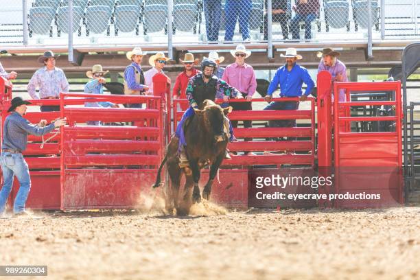 bull riding utah cowboys western im freien und rodeo stampede roundup reiten pferde hüten vieh istock foto-shooting - istock stock-fotos und bilder