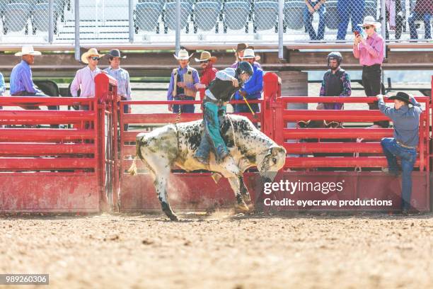 bull riding utah cowboys western im freien und rodeo stampede roundup reiten pferde hüten vieh istock foto-shooting - istock stock-fotos und bilder