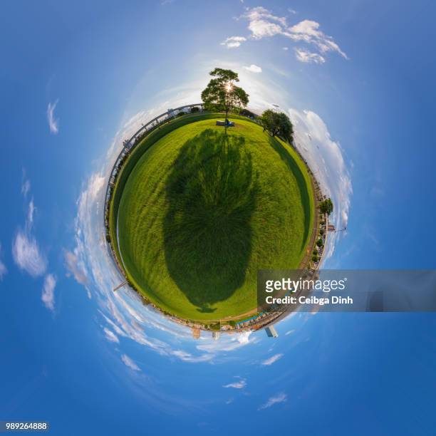 little tree, big shadow - panoramic 360 stock pictures, royalty-free photos & images