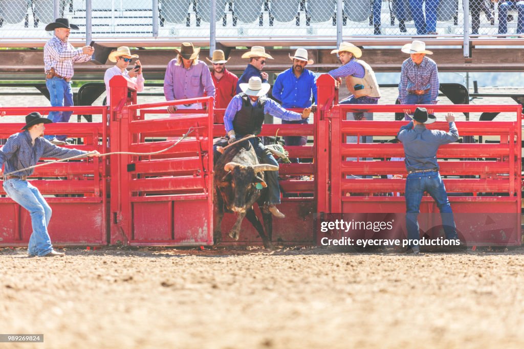Bull Riding Utah Cowboys Western Outdoors and Rodeo Stampede Roundup Riding Horses Herding Livestock iStock Photoshoot