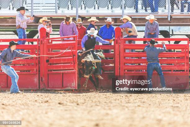 bull riding utah cowboys western outdoors and rodeo stampede roundup riding horses herding livestock istock photoshoot - bull riding imagens e fotografias de stock