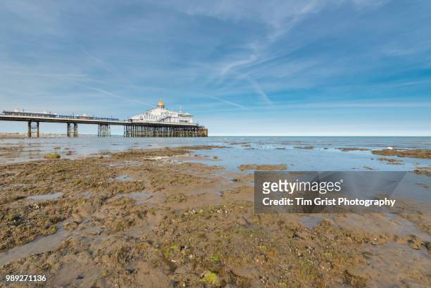 eastbourne pier and beach at low tide - eastbourne pier photos et images de collection