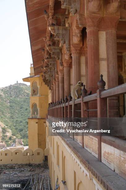the walls of amer fort, rajasthan, india - argenberg stockfoto's en -beelden