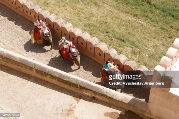 elephant rides along the outer walls of amber fort in jaipur, rajasthan, india - argenberg stock-fotos und bilder