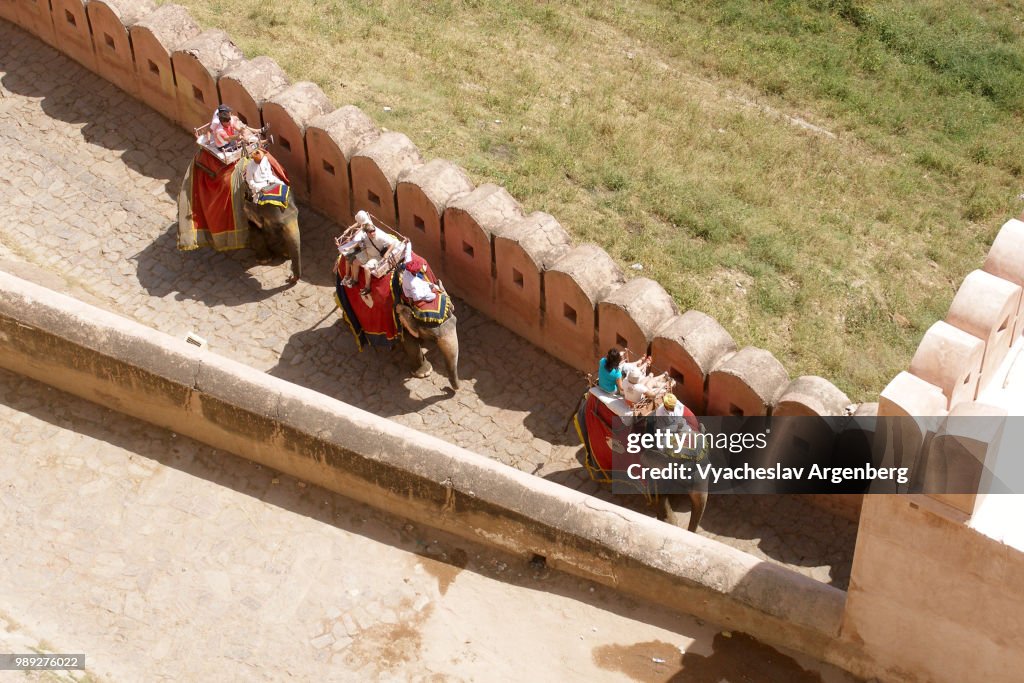 Elephant rides along the outer walls of Amber Fort in Jaipur, Rajasthan, India