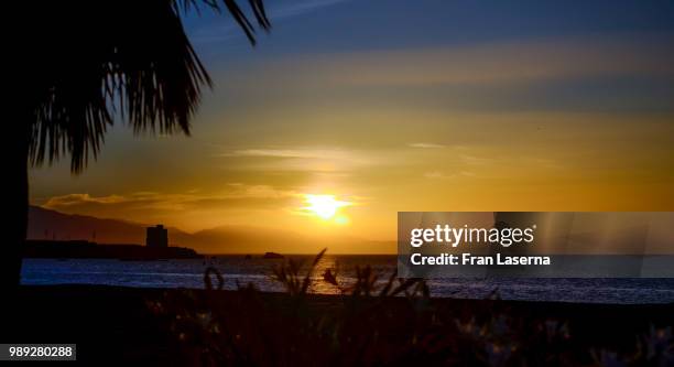 amanecer entre siluetas - siluetas stock-fotos und bilder