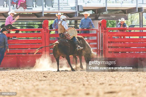 bull riding utah cowboys western im freien und rodeo stampede roundup reiten pferde hüten vieh istock foto-shooting - istock stock-fotos und bilder