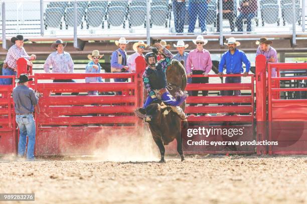 bull riding utah cowboys western im freien und rodeo stampede roundup reiten pferde hüten vieh istock foto-shooting - istock stock-fotos und bilder