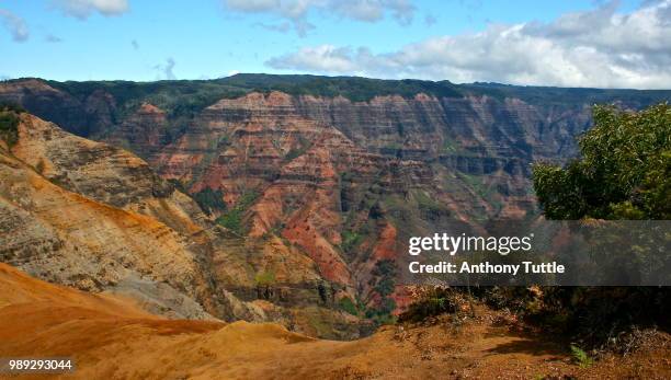 waimea canyon - waimea valley stock pictures, royalty-free photos & images