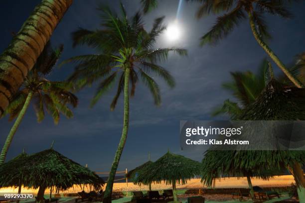 moon shine at the beach - klas stock pictures, royalty-free photos & images