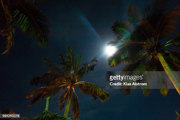 moon shine - klas stock pictures, royalty-free photos & images