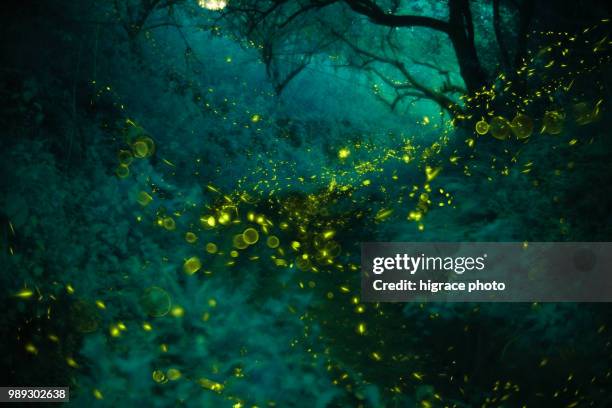 Infrared Photos and Premium High Res Pictures - Getty Images