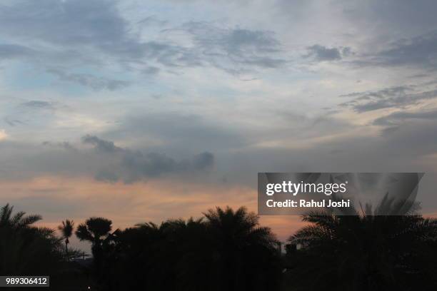 Sentosa Nature Trail Photos and Premium High Res Pictures - Getty Images