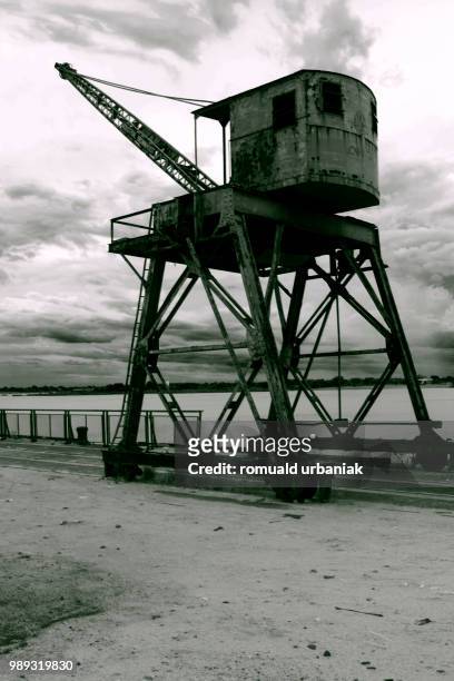 la grue - grue stock pictures, royalty-free photos & images