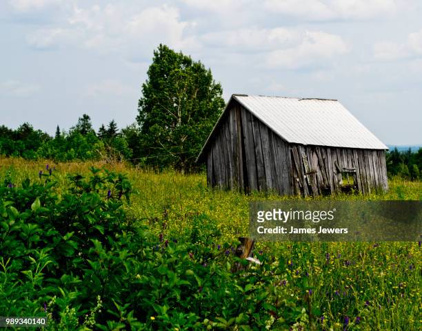 abandoned work shed near magundy new brunswick - brunswick centre stock pictures, royalty-free photos & images
