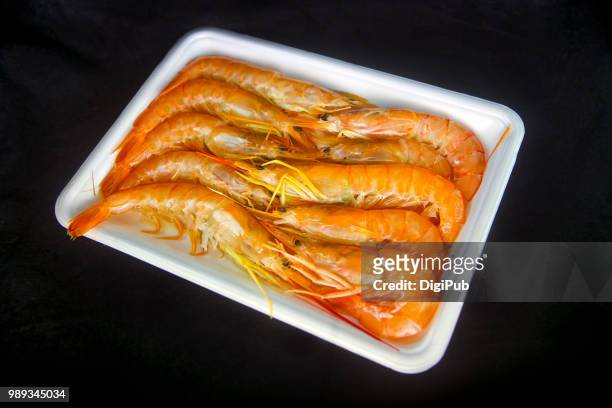 argentine red shrimp, ten in white plastic tray on black background - behållare för farligt avfall bildbanksfoton och bilder