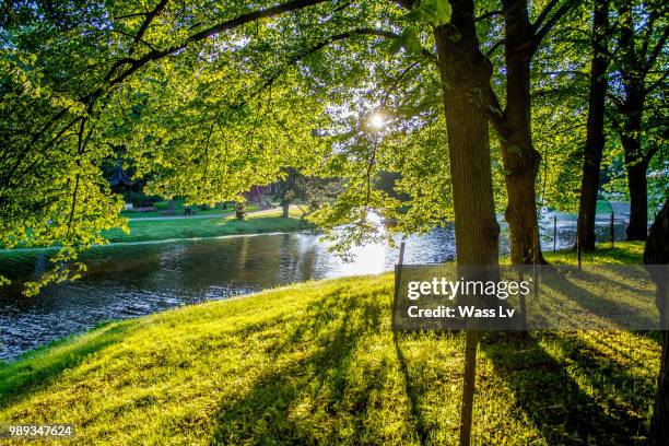 kronvalda park, riga - kronvalda park stock pictures, royalty-free photos & images