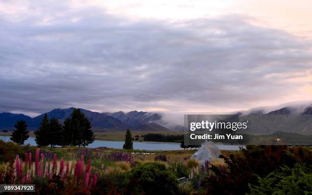 lake tekapo - tekapo stock pictures, royalty-free photos & images