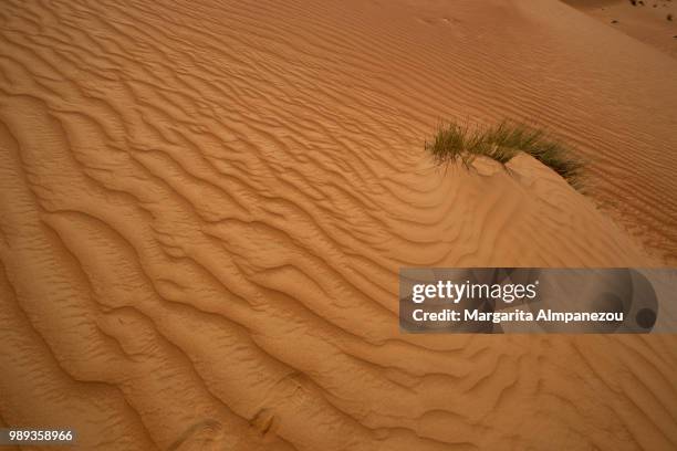 the sand dunes of wahiba sands oman - almpanezou stockfoto's en -beelden