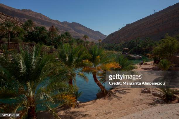 wadi bani khalid desert oasis in oman - almpanezou bildbanksfoton och bilder