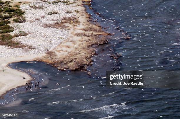 Birds fly over an island that is threatened by the massive oil spill on May 9, 2010 in Gulf of Mexico. The Deepwater Horizon oil rig operated by BP...