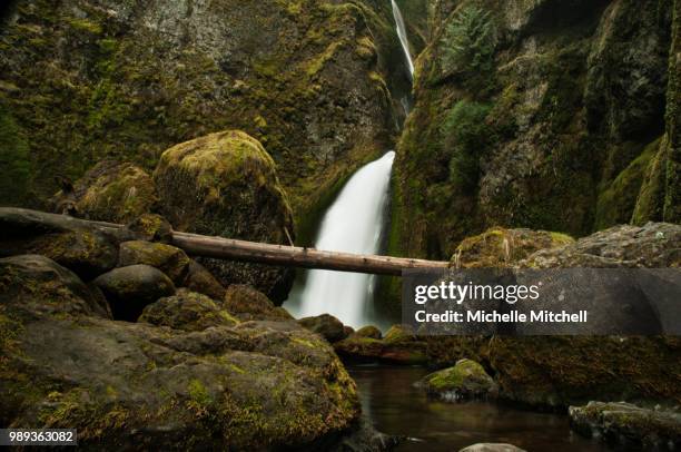 mfmitchellphoto hike - brook mitchell stock pictures, royalty-free photos & images