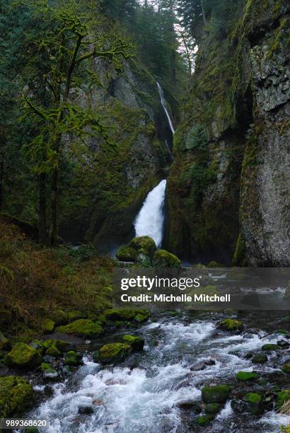 mfmitchellphoto hike - brook mitchell stock pictures, royalty-free photos & images