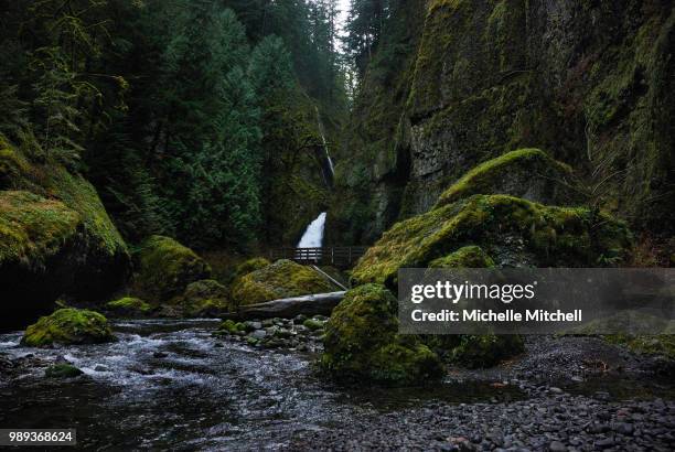 mfmitchellphoto hike - brook mitchell stock pictures, royalty-free photos & images