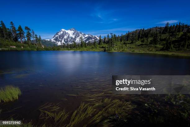 mt shuksan - mt shuksan stock pictures, royalty-free photos & images