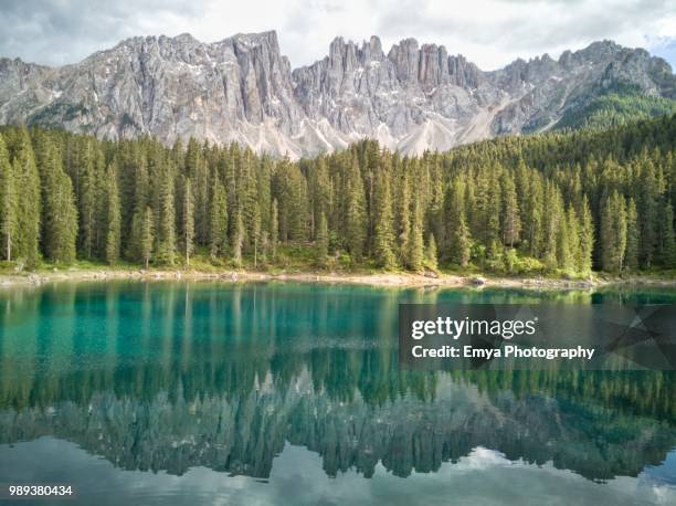 lake carezza and latemar, south tyrol, italy - gebirgskette latemar stock-fotos und bilder