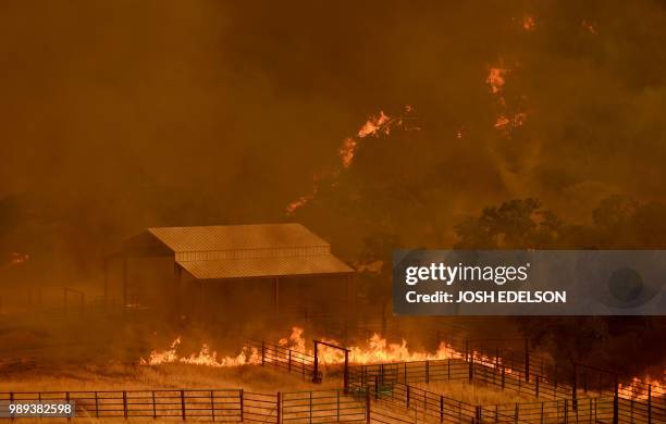 Flames from the County Fire move through a property in Guinda, California, on July 1, 2018. - Californian authorities have issued red flag weather...