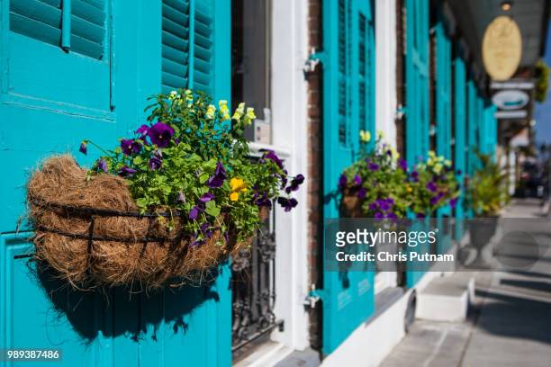 new orleans flowers - chris putnam stock pictures, royalty-free photos & images