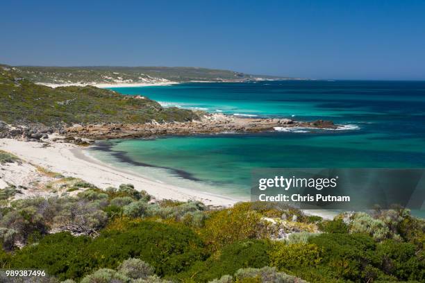 australian beach scene - chris putnam fotografías e imágenes de stock