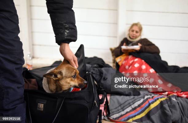 Homeless people, who live in a pedestrian underpass, eat food provided by volunteers of the association "Kaeltebus Muenchen" , in Munich Germany, 03...
